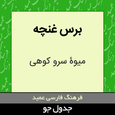 تصویری از برس غنچه