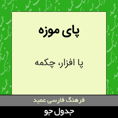 تصویری از پای موزه