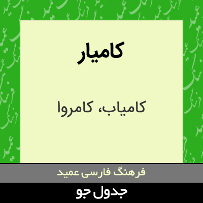 تصویری از کامیار