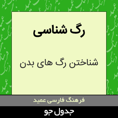 تصویری از رگ شناسی