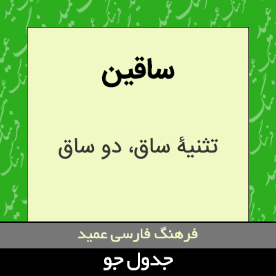 تصویری از ساقین