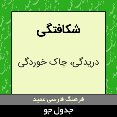 تصویری از شکافتگی