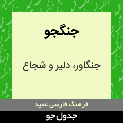 تصویری از جنگجو