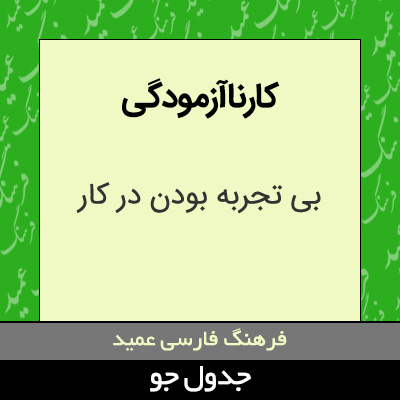 تصویری از کارناآزمودگی