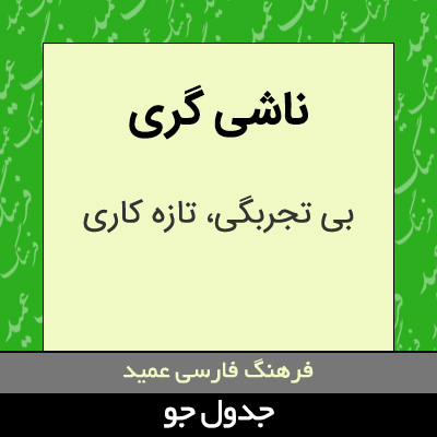 تصویری از ناشی گری