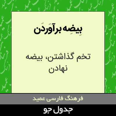 تصویری از بیضه برآوردن