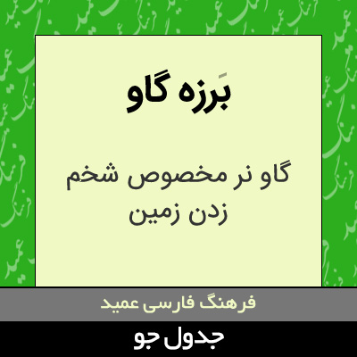 تصویری از برزه گاو