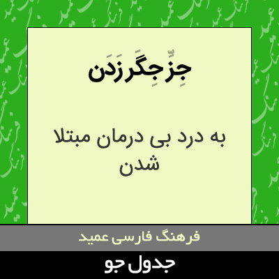 تصویری از جز جگر زدن