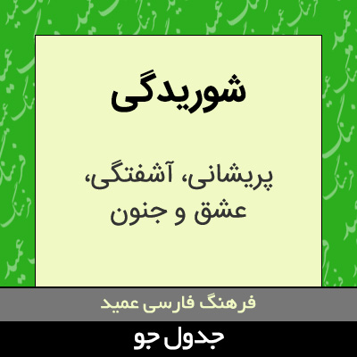 تصویری از شوریدگی