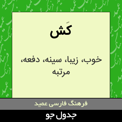 تصویری از کش