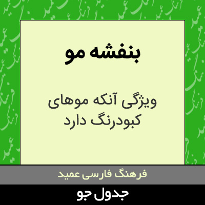 تصویری از بنفشه مو