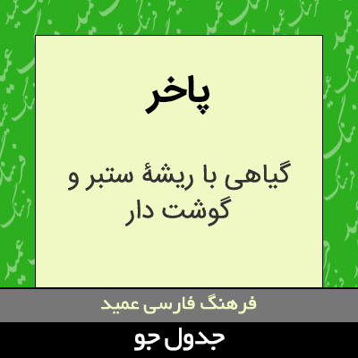 تصویری از پاخر