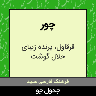 تصویری از چور