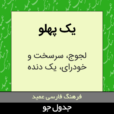 تصویری از یک پهلو