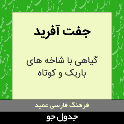 تصویری از جفت آفرید