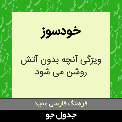 تصویری از خودسوز