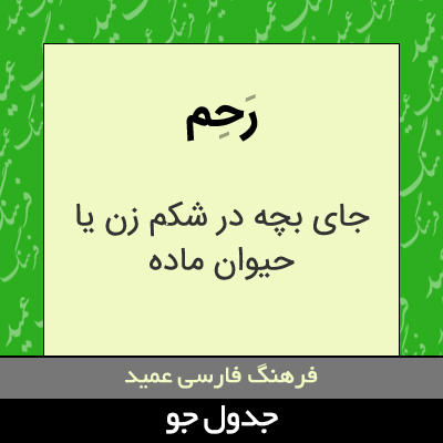 تصویری از رحم