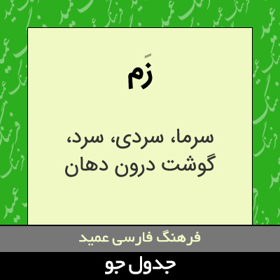 تصویری از زم