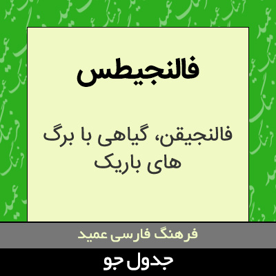 تصویری از فالنجیطس