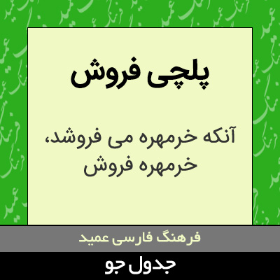 تصویری از پلچی فروش