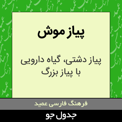 تصویری از پیاز موش