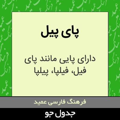 تصویری از پای پیل