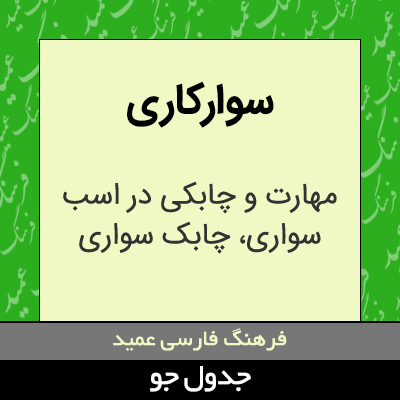 تصویری از سوارکاری