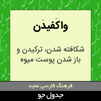 تصویری از واکفیدن