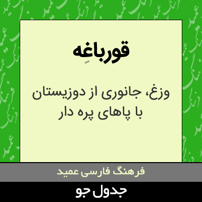 تصویری از قورباغه