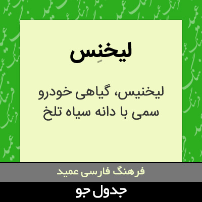 تصویری از لیخنس