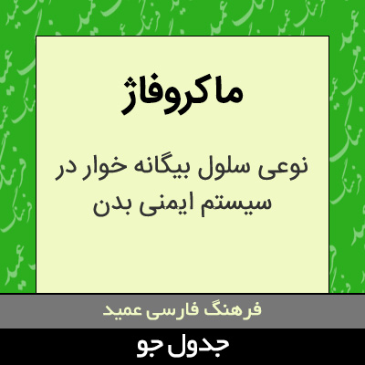 تصویری از ماکروفاژ