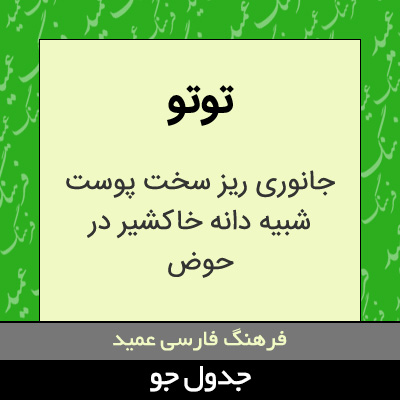 تصویری از توتو