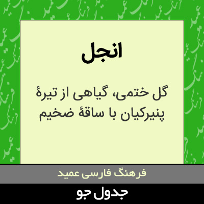 تصویری از انجل