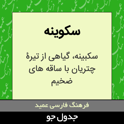 تصویری از سکوینه