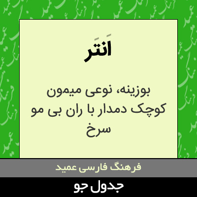 تصویری از انتر