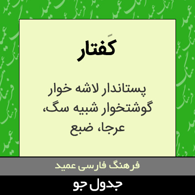 تصویری از کفتار