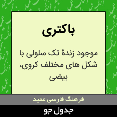 تصویری از باکتری