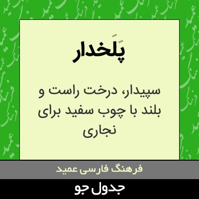 تصویری از پلخدار