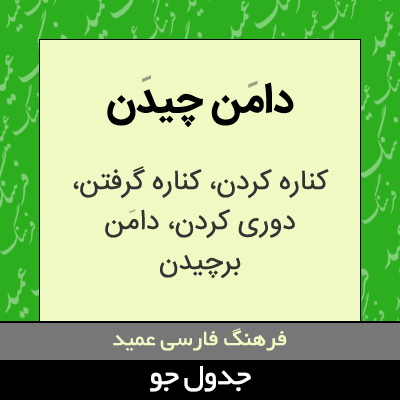 تصویری از دامن چیدن