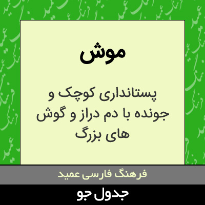 تصویری از موش