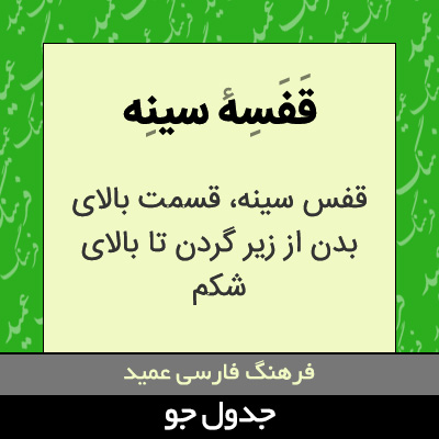 تصویری از قفسه سینه