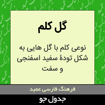 تصویری از گل کلم