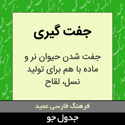 تصویری از جفت گیری