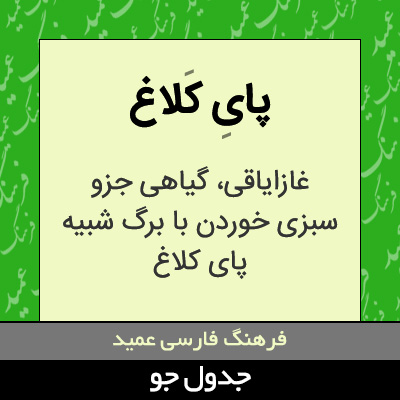 تصویری از پای کلاغ