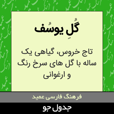 تصویری از گل یوسف