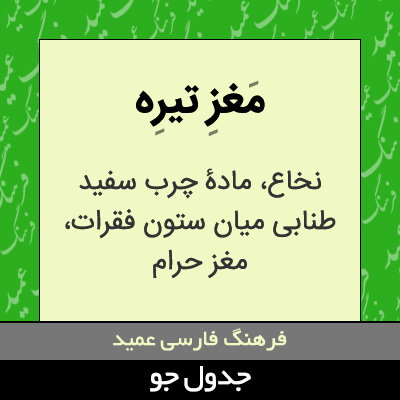 تصویری از مغز تیره