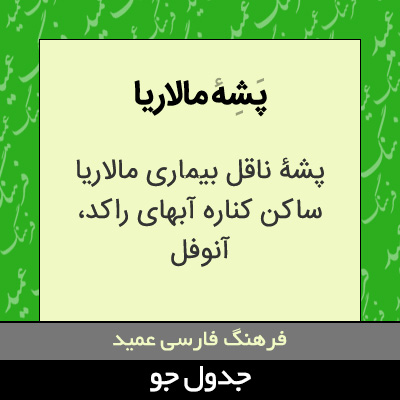 تصویری از پشه مالاریا