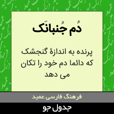 تصویری از دم جنبانک