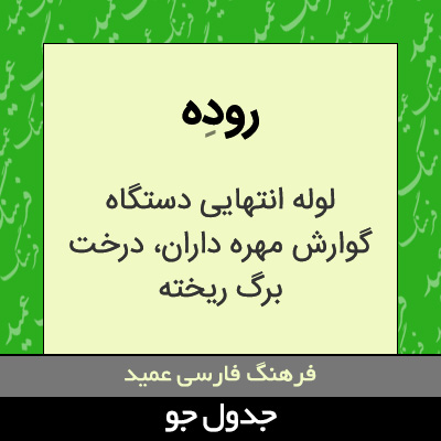 تصویری از روده