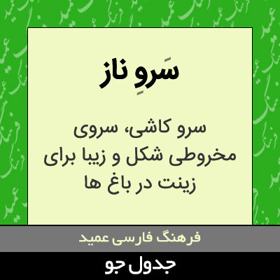 تصویری از سرو ناز